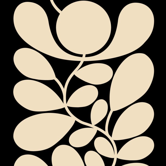 271f0b65d365b8addcc974f9b4d6c766.jpg